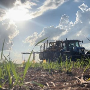 Qual a importância das práticas   sustentáveis no campo?